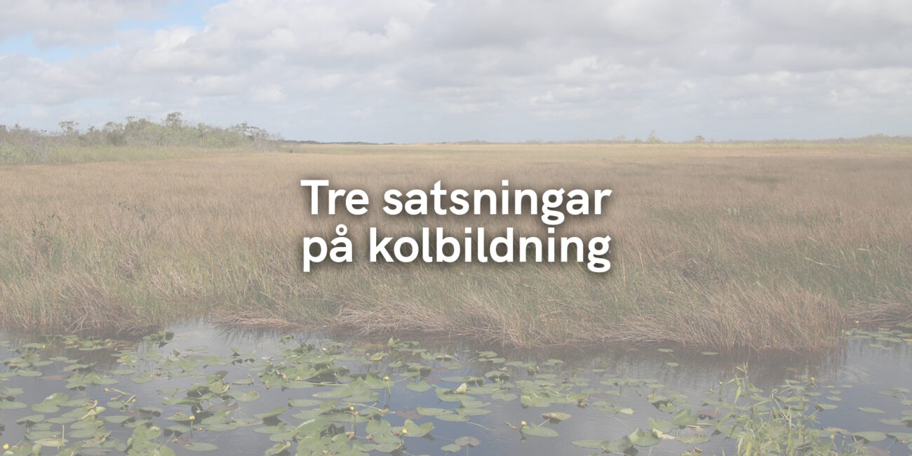 Tre satsningar på kolbildning