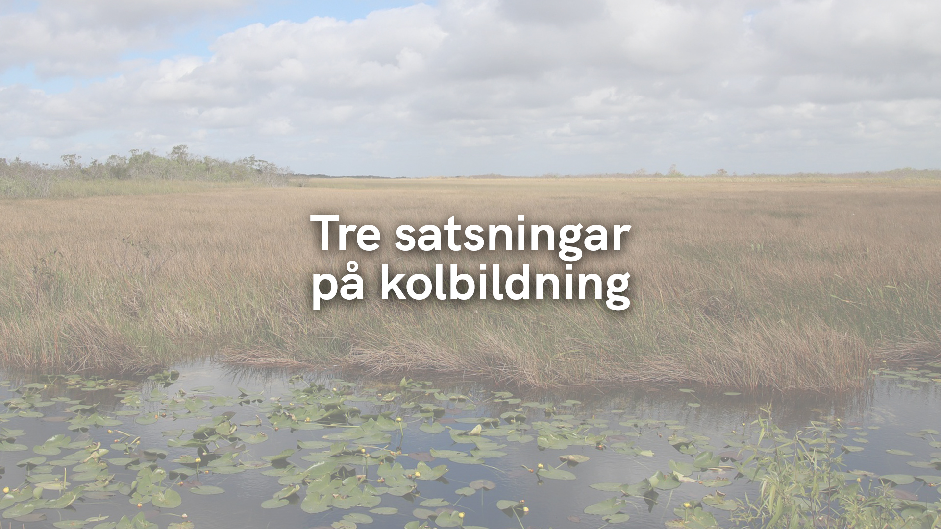Tre satsningar på kolbildning