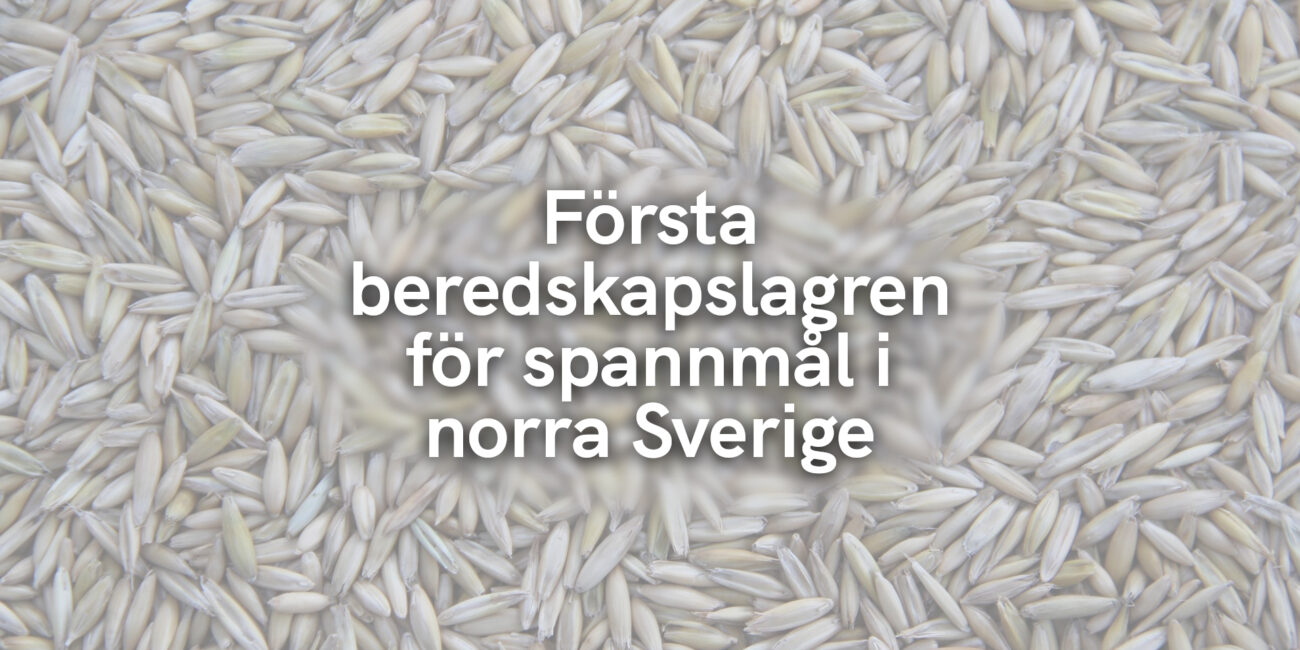 Första beredskapslagren för spannmål i norra Sverige