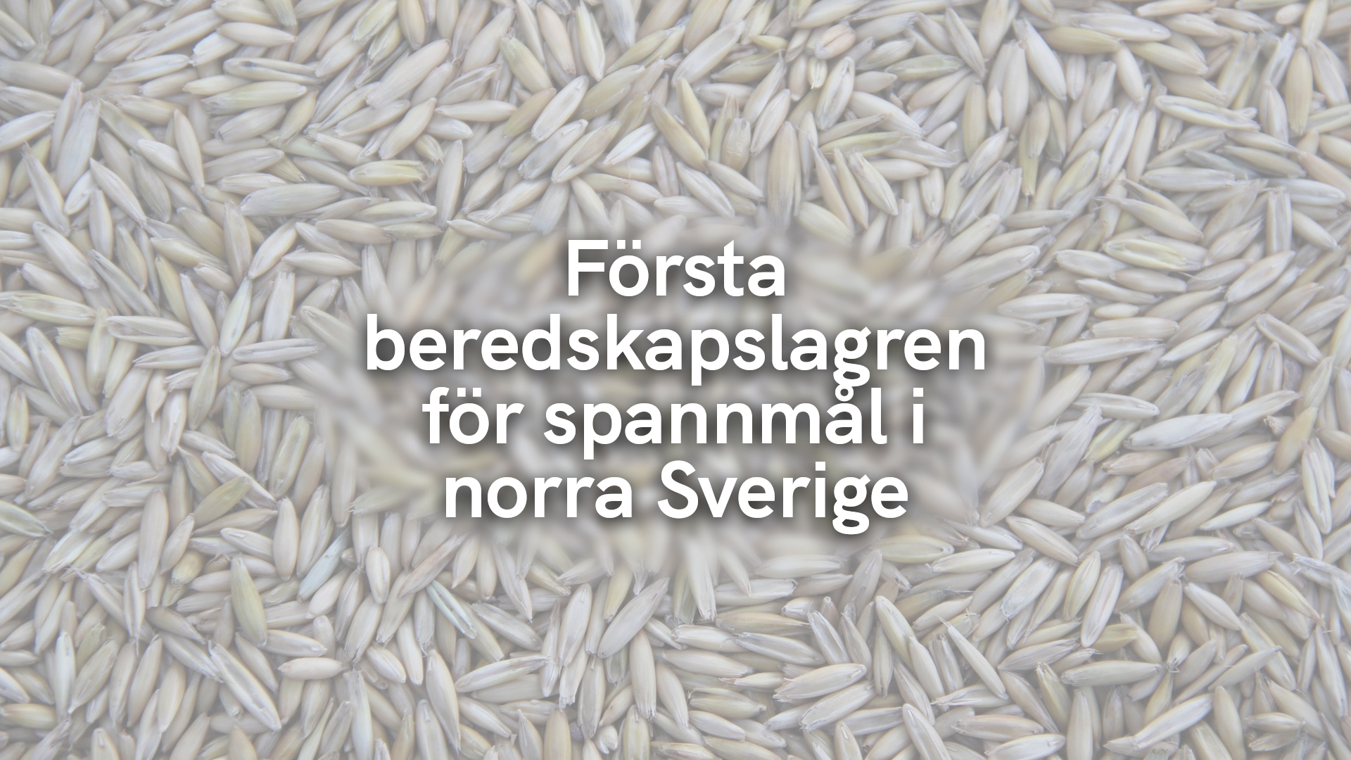 Första beredskapslagren för spannmål i norra Sverige