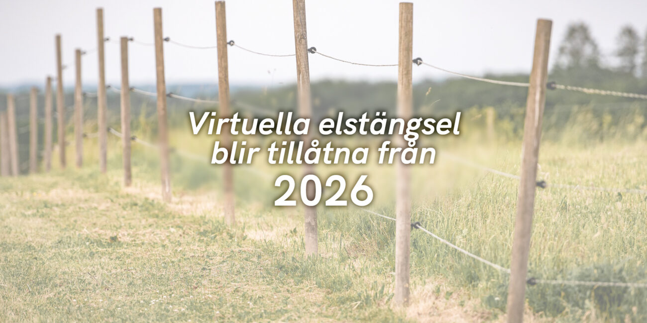 Virtuella elstängsel blir tillåtna från 2026